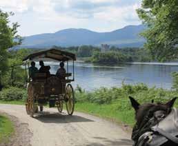 Later, at Ross Castle, we board our horse drawn Jaunting Cars, for a tour through the Killarney ational Parklands.