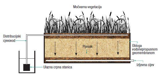 Slika 3. Biljni uređaj s vertikalnim tokom (Malus i Vouk, 2012) U biljnim uređajima, kao i kod prirodnih močvara, područja najveće aktivnosti razgradnje su supstrati i područja oko biljaka.