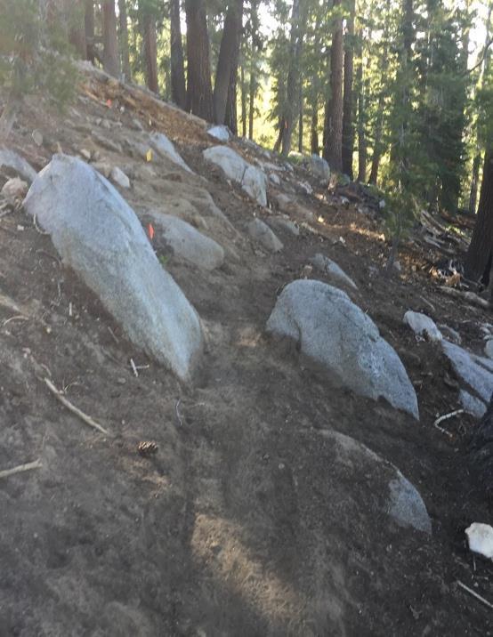 On August 25, 2016 while constructing a trail, John, a member of the Tahoe Rim Trail Association (TRTA) working under a Volunteer Service Agreement with the Lake Tahoe Basin Management Unit was