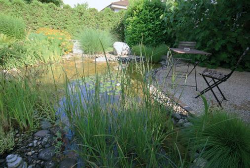 Our beautifully maintained garden with a pond brings you silence and