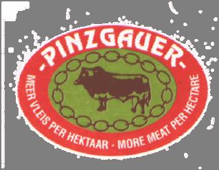 1 THE PINZGAUER CATTLE BREEDERS SOCIETY OF SA AND PINZ²YL BREEDERS CLUB OF SA TOUR PROGRAM: PINZGAUER CATTLE BREEDERS ASSOCIATION WORLD CONGRESS, SOUTH AFRICA (11 DAYS / 10 NIGHTS / 27 AUGUST 06