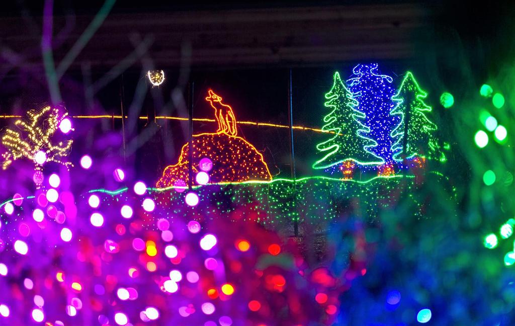 ZOOLIGHTS 2016 Holiday nights will glow with the magic and wonder of the season as zoo animals, whimsical scenes and landmarks spring to life in 600,000 colorful LEDs TACOMA, Wash.