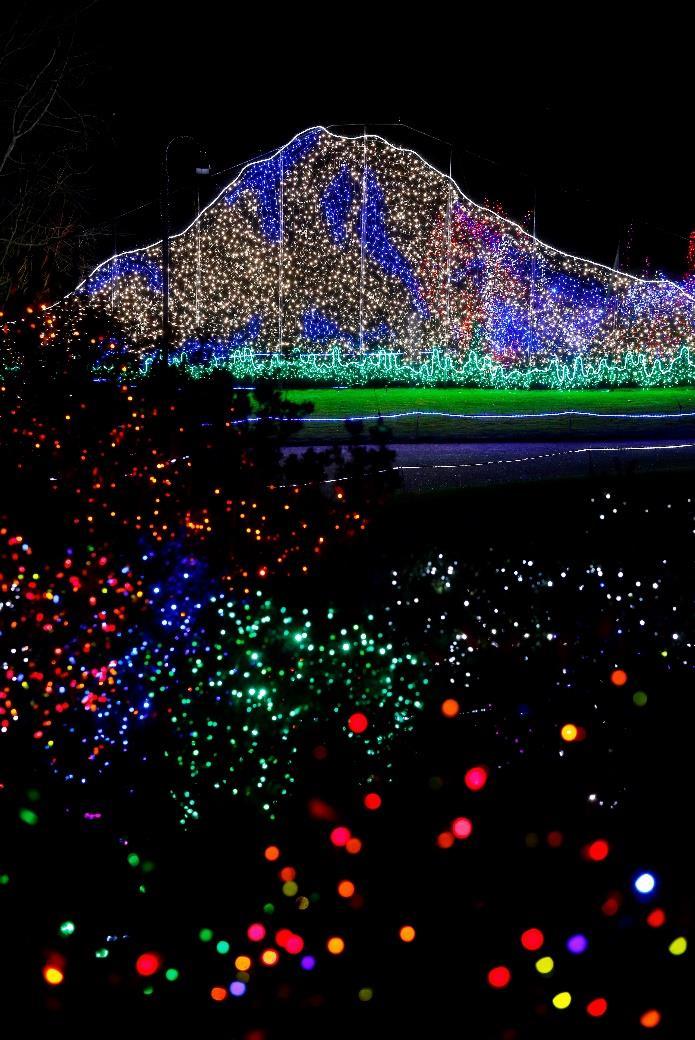 Everywhere Zoolights-goers look, the never-ending colors twinkle, surprising them with a rainbow of trees and shrubs and the sparkle of even the tiniest creatures spiders, flies and ants.