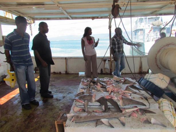A Guatemalan fisherman pleaded guilty to Illegal Fishing (Channel5news Belize) French Fishing in Dominica s Waters a Major Problem says Environment Minister 26 May 2014. Minister for the Environment,.