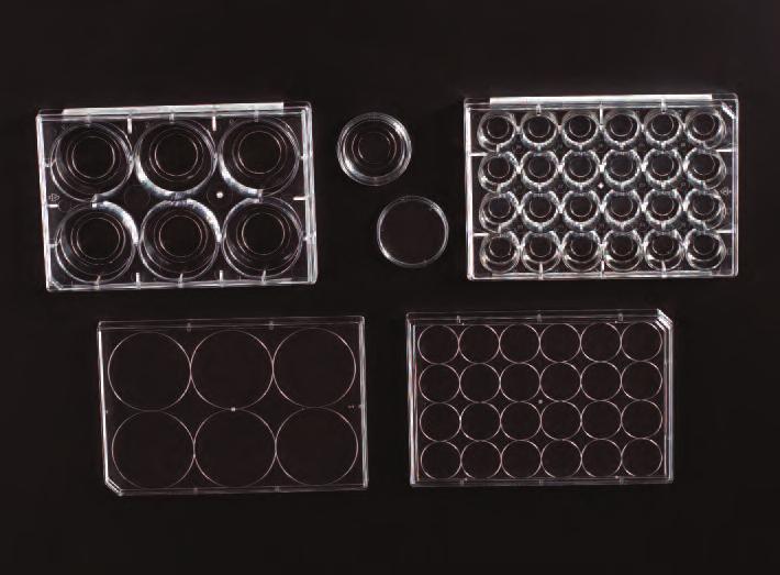 NEW Glass Bottom Cell Culture Dishes & Plates NEW Chambered Cell Culture Slides Glass bottom dishes and plates have the same great features as standard tissue culture treated products with the added
