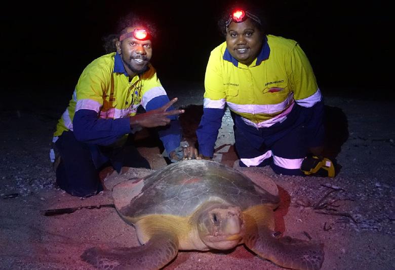 Traditional Owners lead the way for land and sea The Amrun Project s approach to turtle management has a strong focus on two key programs, the turtle monitoring and feral pig control programs.