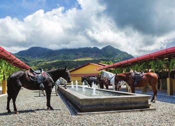 offers authentic experiences rooted in the heritage and culture of Southern Costa Rica.