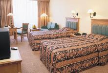 An Era of Luxury The Dynasty s 788 splendidly appointed rooms and suites including