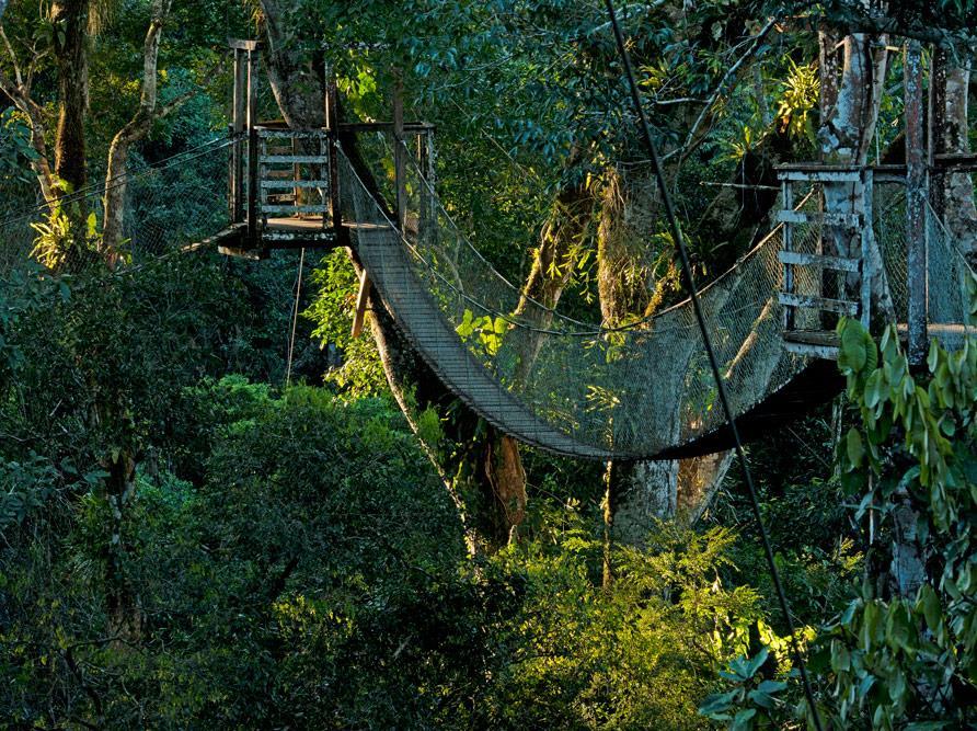 INKATERRA CANOPY WALKWAY (2002) BUILT AT 100FT TO