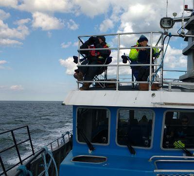 (Source: Offshore Wind) FREDDIE S JOINS WESTERMOST ROUGH BIRDWATCHING CLUB Windwave Workboats 18-metre Wind Farm Support Vessel (WFSV) Freddie S has completed her first bird survey assisting Jubilee