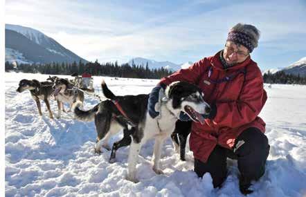 4 2016 Official State Vacation Guide Trip Planning in 3 Easy steps Dog Mushing 1.
