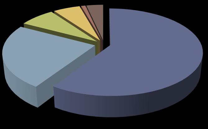 Geographical Breakdown Asset Allocation (as at 30 Jun 2011) 7% 6%