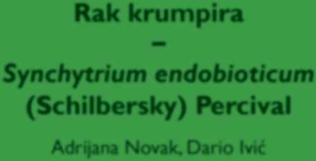 endobioticum (Schilbersky)