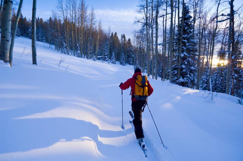 BACK COUNTRY SKIING Our Backcountry Ski Excursions give skiers and snowboarders of all abilities a chance to experience the ultimate wilderness delight: untracked powder.