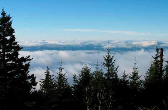 1 Mountains-to-Sea Trail Last Updated 1/1/2017 Peak to Peak MST Segment 1A View from the Mountains-to-Sea Trail at Clingmans Dome Photo by Danny Bernstein CLINGMANS DOME TO WATERROCK KNOB ALTERNATE
