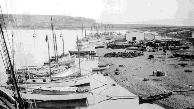 Eskimo Schooners from Banks Is. and Mackenzie Delta at Pauline Cove, 1930. View of warehouse and fuel drums. Yukon Archives/R.