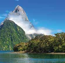 new vehicle MILFORD SOUND 1 DAY QUEENSTOWN 3 NIGHTS LAKE TEKAPO 1 NIGHT Professional guide and