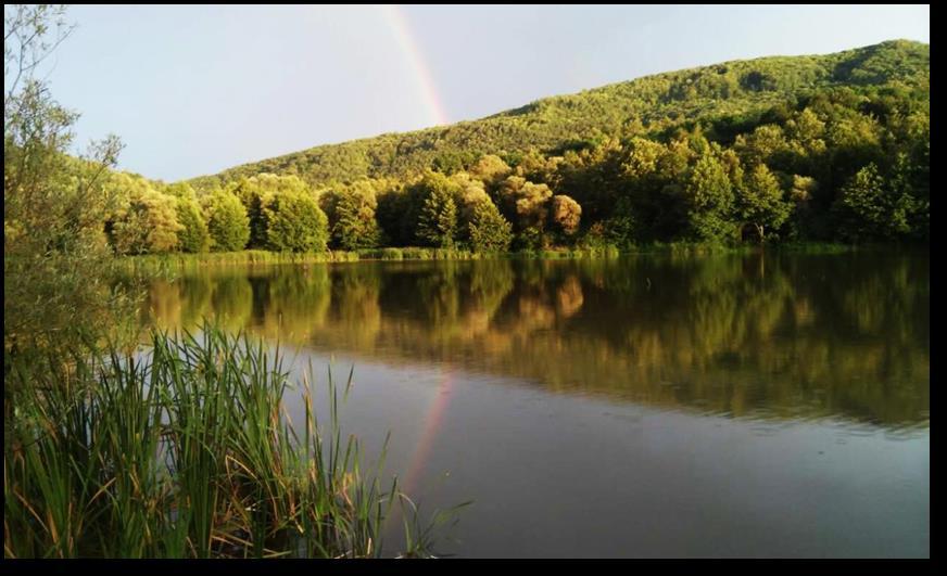 D. Stanojević Slika 28. Jovačko jezero ( D. Stanojević). Jovačka jezera su poznatna ribolovcima južne Srbije jer su bogata različitim vrstama ribe, ali je sam potencijal jezera nedovoljno iskorišćen.