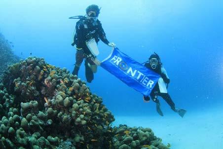 Marine Conservation Tenerife: