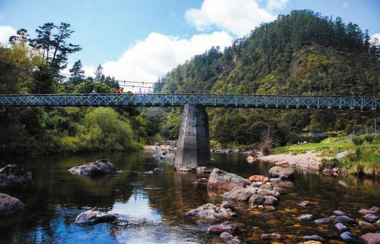 HAURAKI RAIL TRAIL Easiest Easy (1 2) Explore verdant countryside, a bushy gorge, rusty relics and old gold towns.