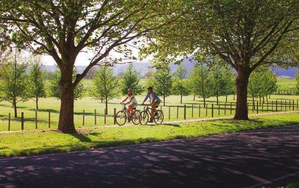 accommodation, this cycleway showcases the lower North Island s diverse and often rugged natural environments.