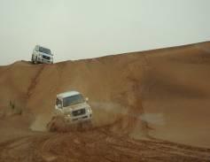 Day 03 Morning you are free till driver pick you from hotel lobby at 03:00 pm (with 30 minutes margin) for an exciting Desert Safari Tour DESERT SAFARI (With