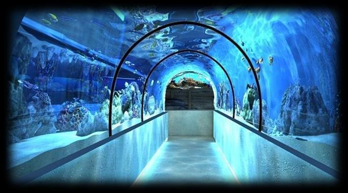 Extra options: Extra shots from various types of weapons; Shootingcompetition Oceanarium Kiev: It so happened that in the