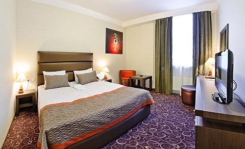 Standard Double Room & Standard Twin Room In the room there can be one double bed or two single beds.