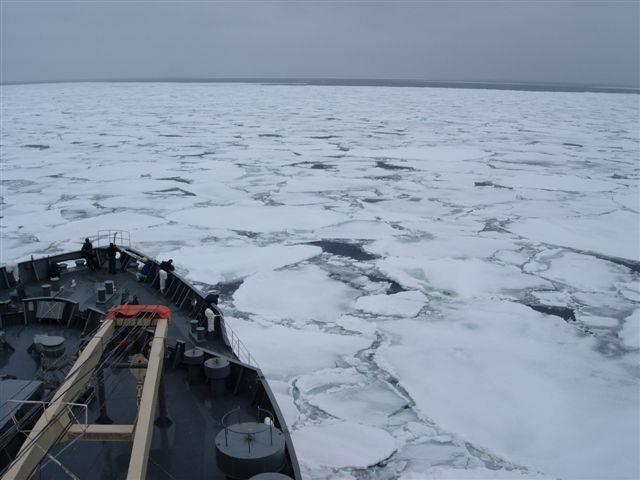 Pack ice is far more common than level ice.