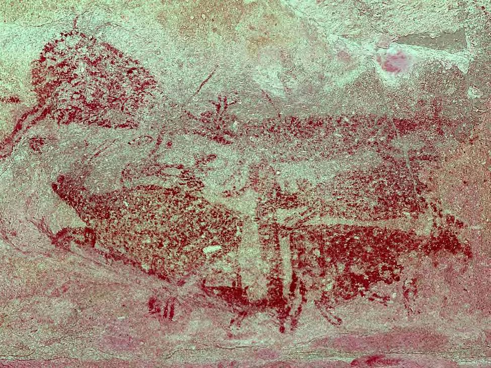 Figure 9. La Granja blackened wall, DStretch YRE enhancement. Mural art and Northern Abstract art are probably at least in part late prehistoric, Comondú period. Dating is far from certain, however.