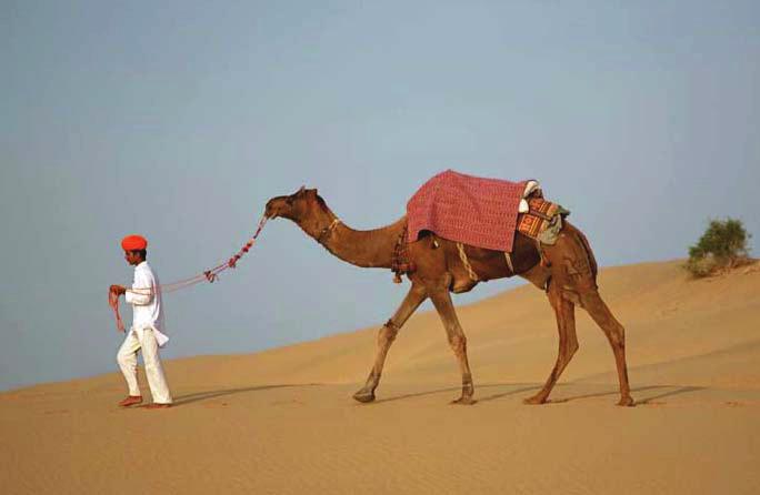 INDIA Pushkar Festival This itinerary, designed to coincide with the Pushkar Camel