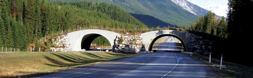 Wildlife overpass at Banff National Park of Canada (Alta.