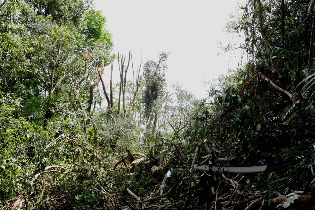 1.12 WRECKAGE AND IMPACT INFORMATION The aircraft was found in the tropical rain forest on Dua Saudara National Park. Prior to impact, the aircraft hit several tree tops.