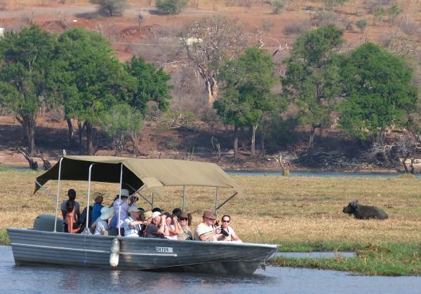 a fantastic photo opportunity. Tonight we have the option of enjoying a sunset dinner cruise on the mighty Zambezi.