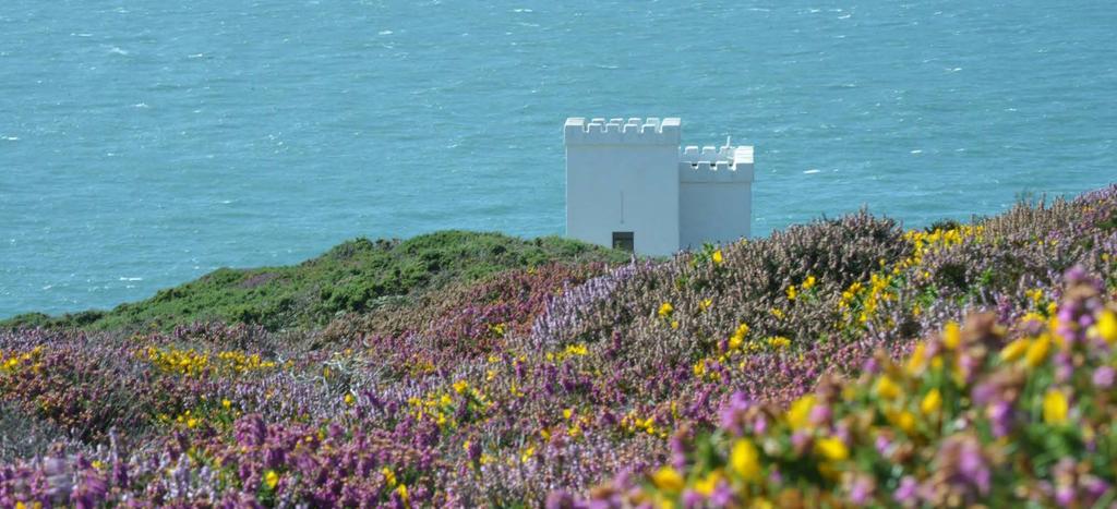 TOP & MIDDLE: The South West Coastal Path