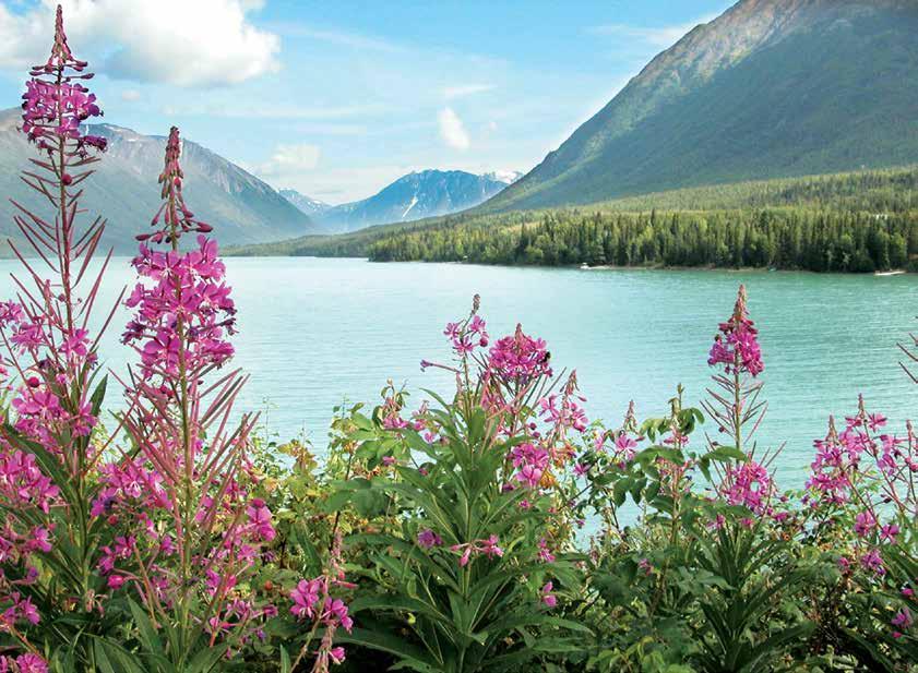ALASKA Alaska, which means the Great Land in the Aleut language, calls to the soul as you sail among the pristine, dramatic natural beauty of this last outpost of North America.