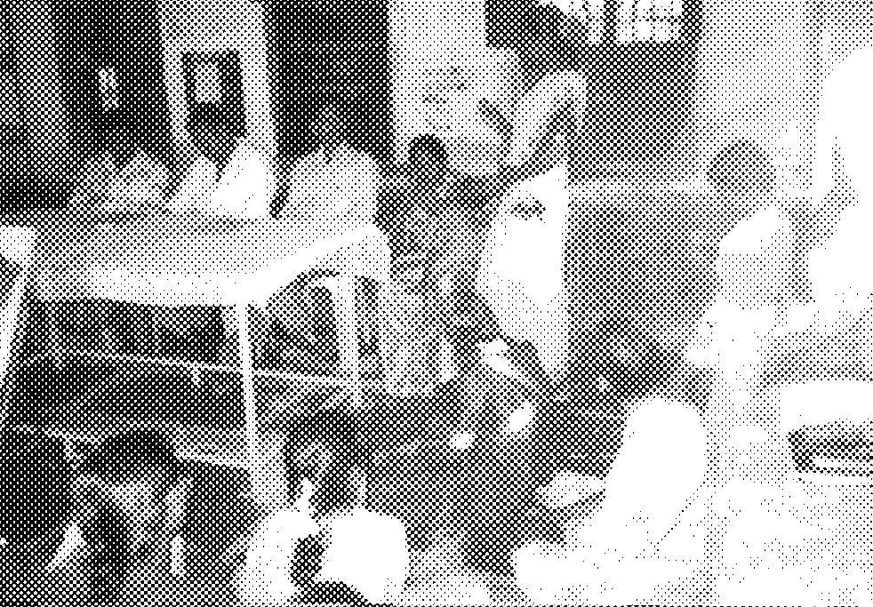 Figure 3. A discussion meeting in the village 8.