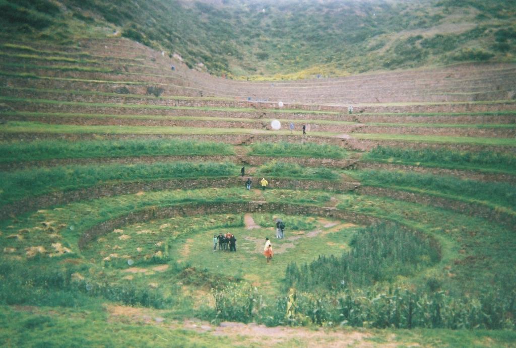 Here at Moray the Incas grew many different plants, mostly for medicinal purposes. They even experimented with mixing plant types.
