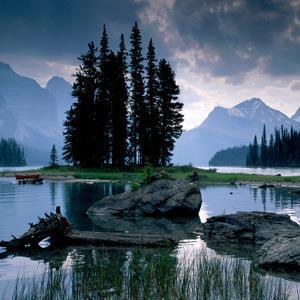 from Tampa to Calgary, Sightseeing Tours throughout, 8 Night