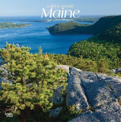 Maine Coast