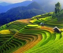 Optional : Pre tour - EXPLORE SAPA - 4 Days Discovery of Sapa, the focal point for mountain travel in Vietnam, and a vibrant mix of colour and atmosphere as people from the myriad of ethnic