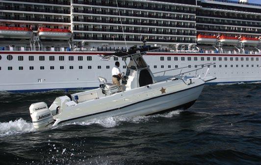Siemens Energy & Automation, Inc., an electronic service organization contracted with Princess Cruise Lines, Ltd.