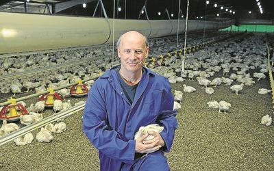 THE bird flu ravaging the US chicken industry is expected to be over within months and is not likely to affect implementation of an agreement between the South African and American poultry
