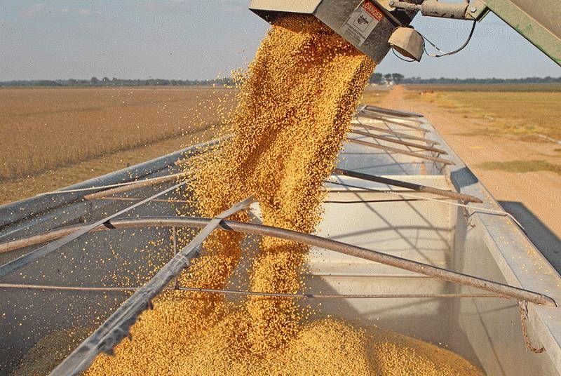 U.S. SOYBEANS and products would benefit from lifting the trade embargo with Cuba, as would rice, U.S. agriculture leaders say. U.S. business, agriculture, and tourism interests have been pressuring Washington for years to scrap the embargo and allow free trade between the two nations.