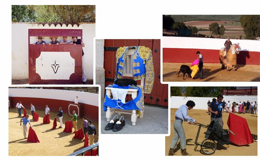 Bullfighting lessons This activity can organised on its own or combined with others like the romería, a cooking or flamenco lesson or just a visit to a bull farm, as a way of spending a full day of