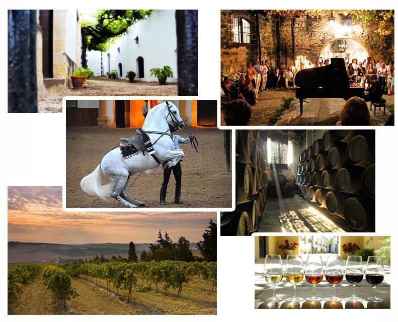 Wines and horses in Jerez Jerez is a very special place intimately linked to wines and horses.