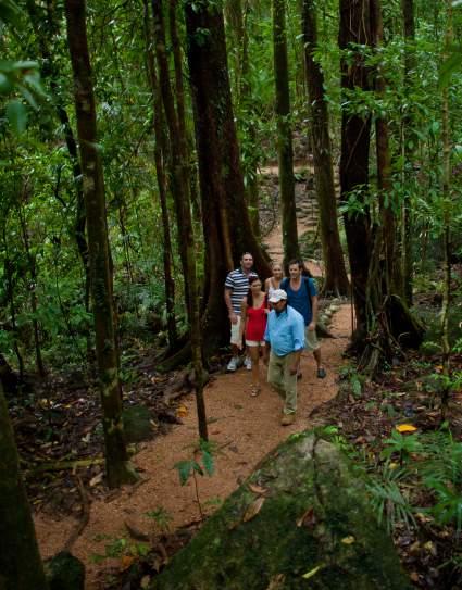 Day 2 Located in the World Heritage listed Daintree National Park, the award-winning Mossman Gorge Centre is one of the few places in the country where visitors can unearth the secrets of Australia s