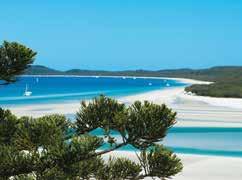 See remote bays, islands and beaches, step ashore at Daydream Island and Hamilton Island and visit magnificent Whitehaven Beach.