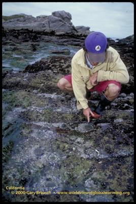 1995) Habitat loss for cold-water fishes