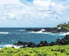 Heavenly Hana Travel along the famous Hana Coast and enjoy the thundering waterfalls and pristine coastline. Visit Keanae Valley Lookout and Wai anapanapa State Park.